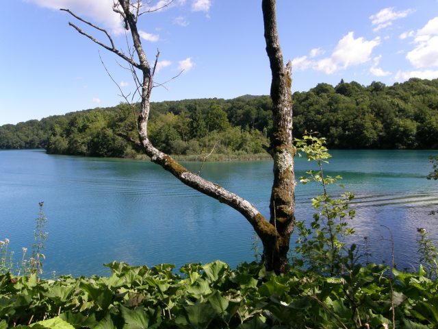 Plitvická jezera - pohled na vodní hladinu