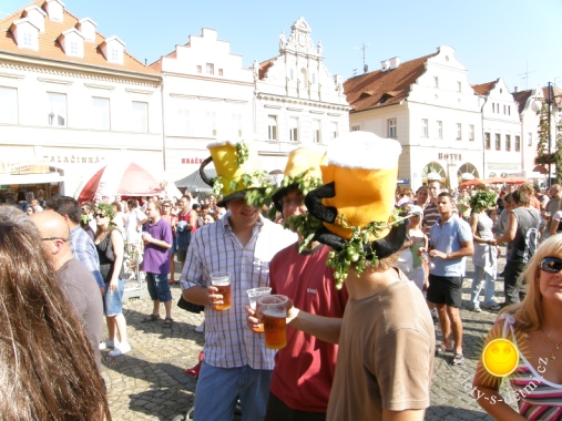 55. Žatecká Dočesná