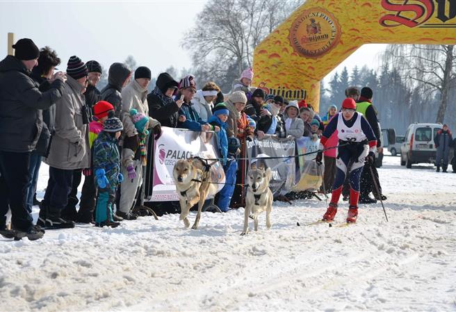 Mistrovství republiky v závodech psích spřežení 2019 v Zásadě