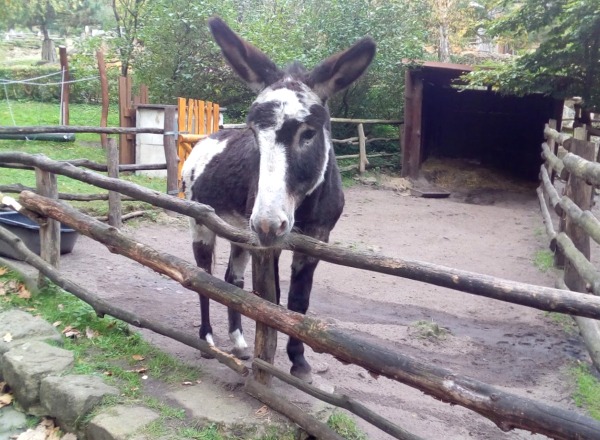 Zoo Děčín