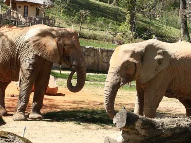 Zoo Zlín